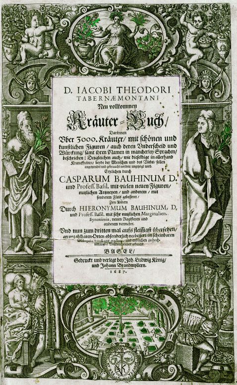 Tabernaemontanus, J. T. - Kräuterbuch