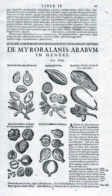   - Historia Plantarum