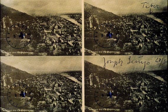 Joseph Beuys - Heidelberg (Tiber)