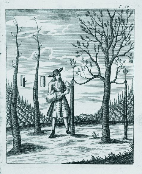 Hesse, H. - Neue Garten-Lust, 1742.