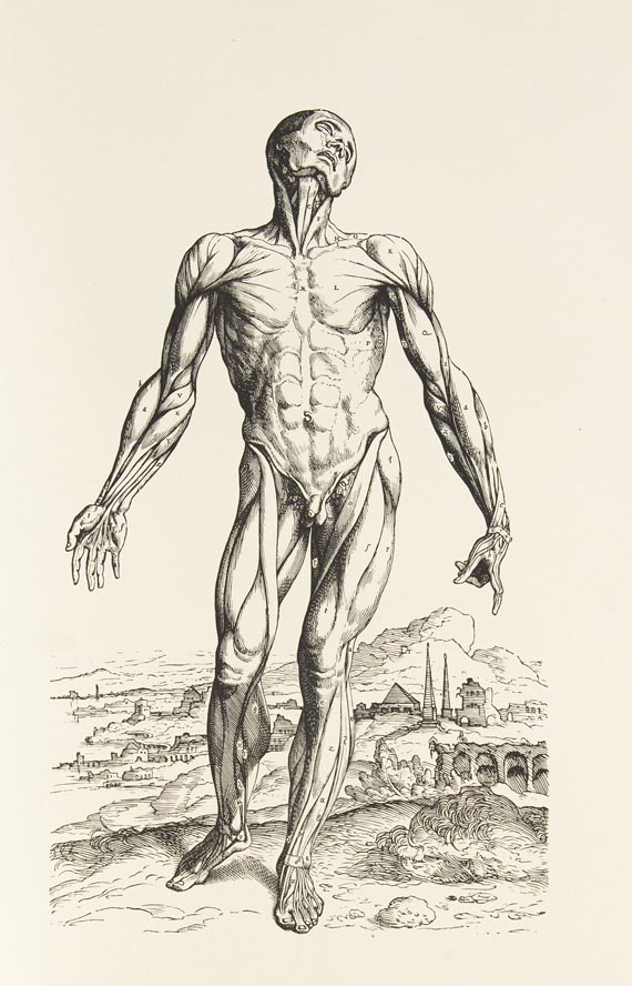 Bremer Presse - Vesalius, Andreas, Icones anatomicae. Faks. 1934.