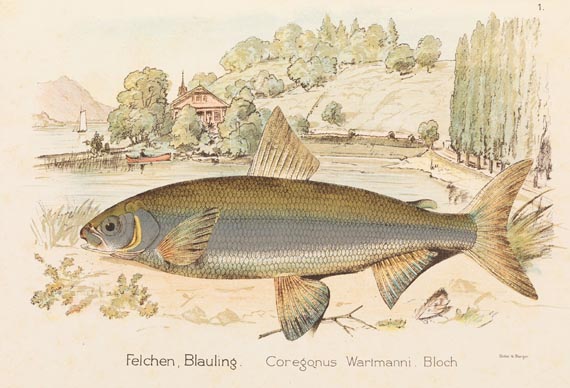   - Schweizerisches Fischkochbuch 1894 - 