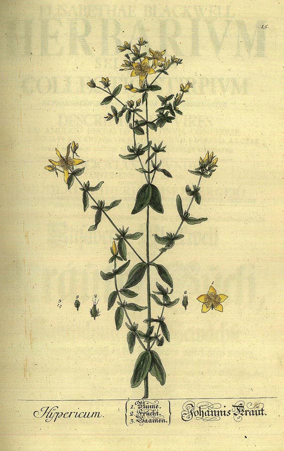 Elisabeth Blackwell - Herbarium (1747)