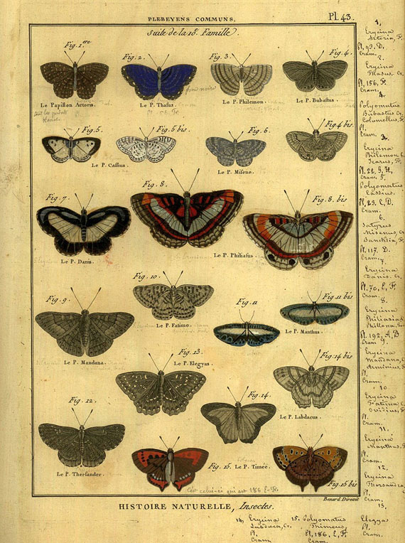 Encyclopédie méthodique - Tableau encyclopédique et méthodique. Insectes. ca. 1780. 2 Bde.