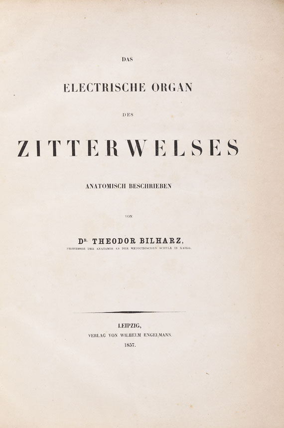Theodor Bilharz - Das electrische Organ des Zitterwelses. 1857. - 