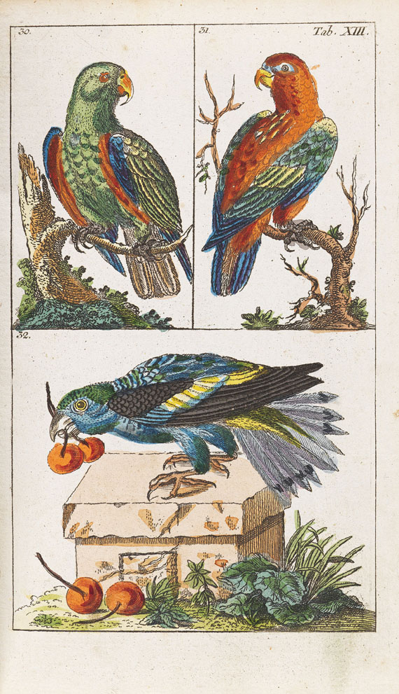 Gottlieb Tobias Wilhelm - Unterhaltungen Naturgeschichte Vögel. 2 Bde. 1795.