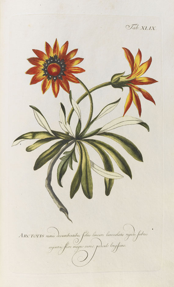 Philipp Miller - Abbildungen zum Gärtnerlexicon. 1768-82. 2 Bde.