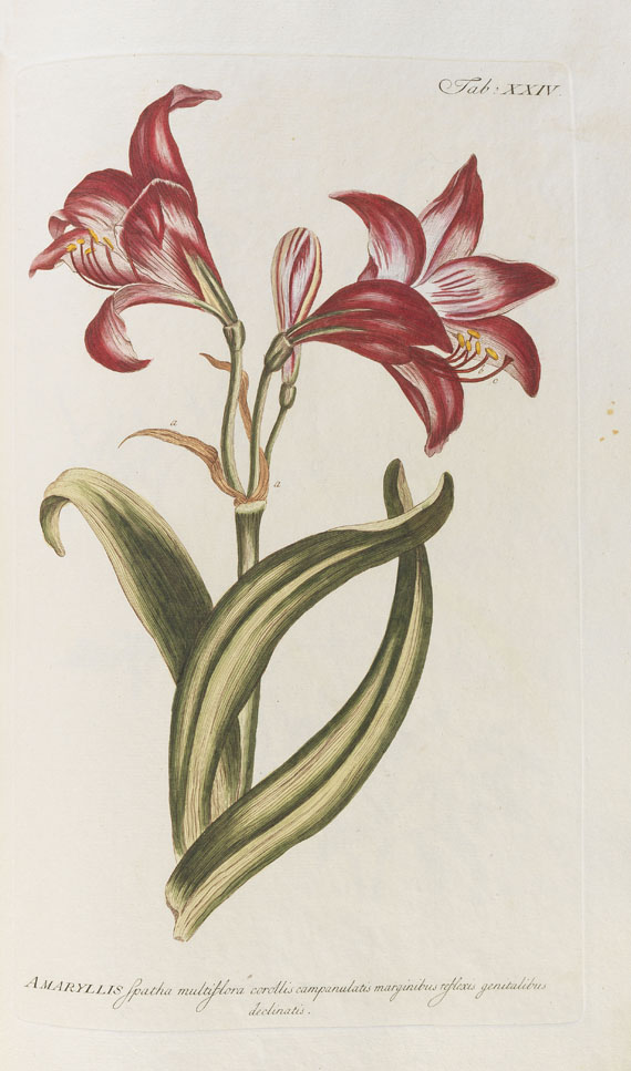 Philipp Miller - Abbildungen zum Gärtnerlexicon. 1768-82. 2 Bde.