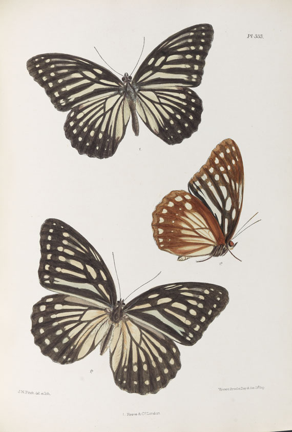Frederic Moore - Lepidoptera Indica. 1890-1913. 10 Bde.. - 
