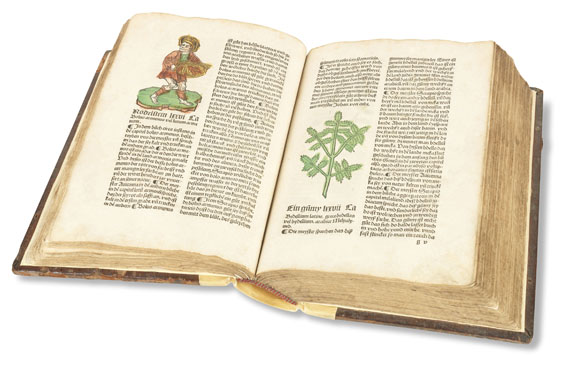   - Herbarius zu teütsch. 1502. - 