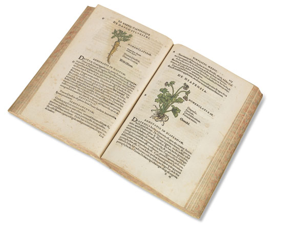 Theoderich Dorsten - Botanicon. 1540. - 