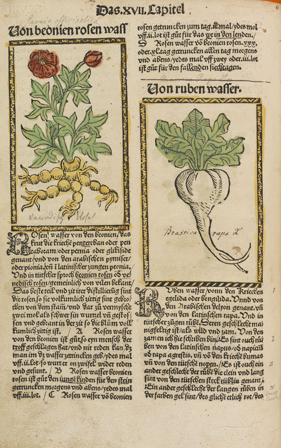 Hieronymus Brunschwig - Liber de arte distillandi. 1500. - 