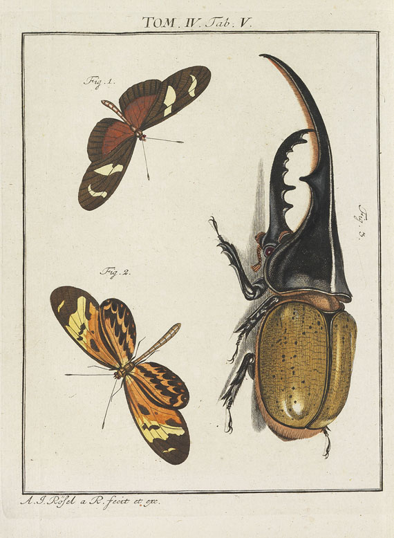 August J. Rösel von Rosenhof - Insecten-Belustigung. 4 Bde. 1759-92 - 