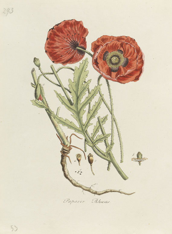 Jan Kops - Flora Batava. 6 Bde. 1800-1832