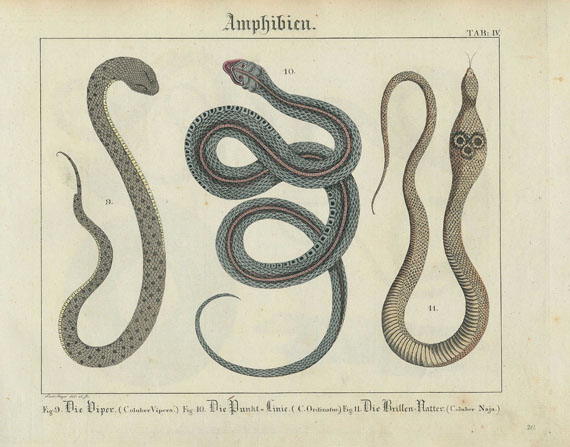 Friedrich Philipp Wilmsen - Kupfer-Sammlung. 1821
