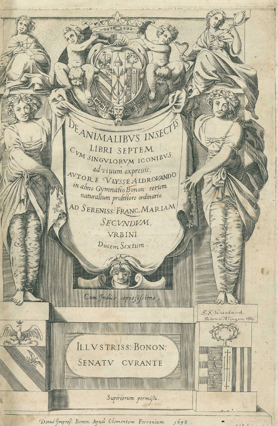 Ulisse Aldrovandi - De animalibus insectis. 1638