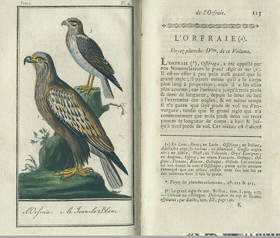 Georges Louis Lerclerc Buffon - Histoire naturelle 16. Bde.