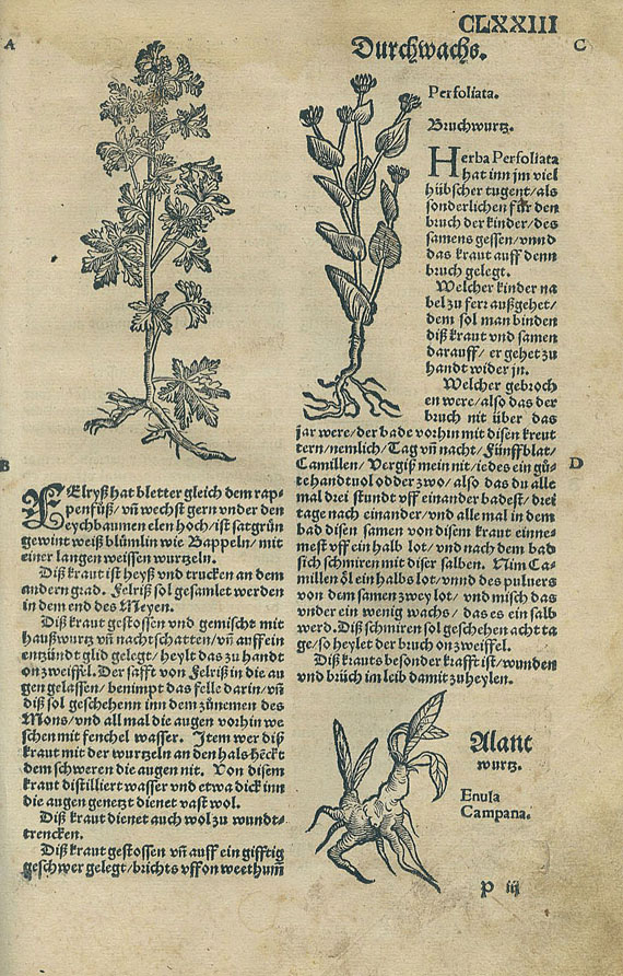 Eucharius Rösslin - Kreuterbuch.