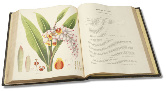 William Roscoe - Monandrian Plants, 1828 - 
