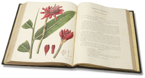 William Roscoe - Monandrian Plants, 1828 - 