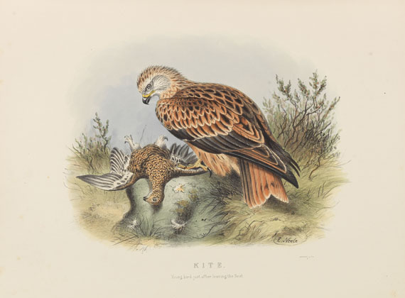 Edwin Carton Booth - Rough notes on the birds in the British Islands. 3 Bde. - 