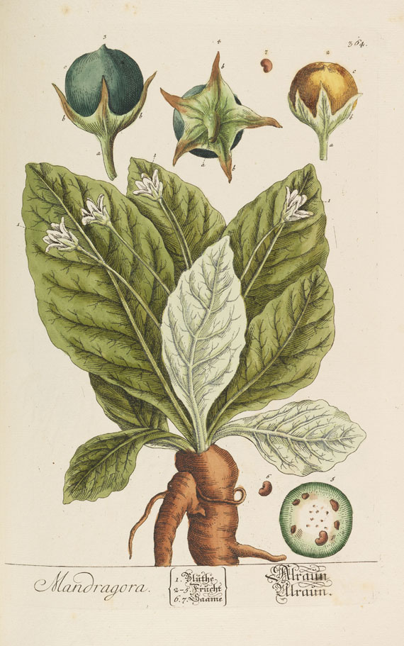 Elisabeth Blackwell - Herbarium selectum. Bd. 3 und 4 in 1 Bd. - 