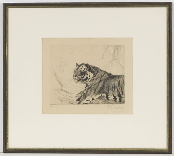 Wilhelm Kuhnert - 4 Bll: Indischer Elefant. Tiger. Löwen. Löwe sitzend - Frame image