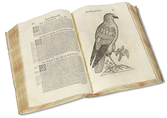 Ulisse Aldrovandi - Ornithologiae. 1599 - 