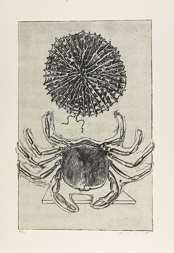 Max Ernst - Histoire naturelle. 2 Bde.