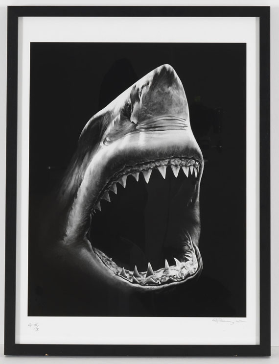 Robert Longo - Shark 5 - Frame image