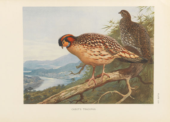 William Beebe - A monograph of the pheasants. 4 Bde.