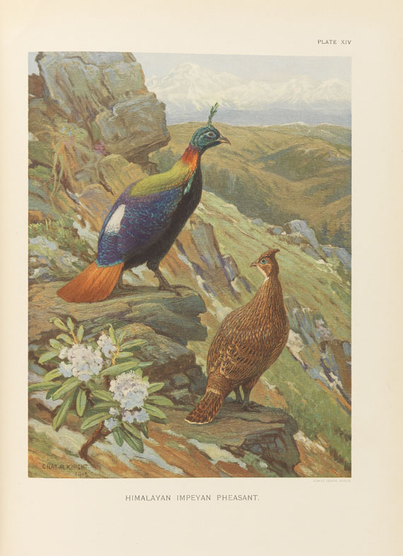 William Beebe - A monograph of the pheasants. 4 Bde.