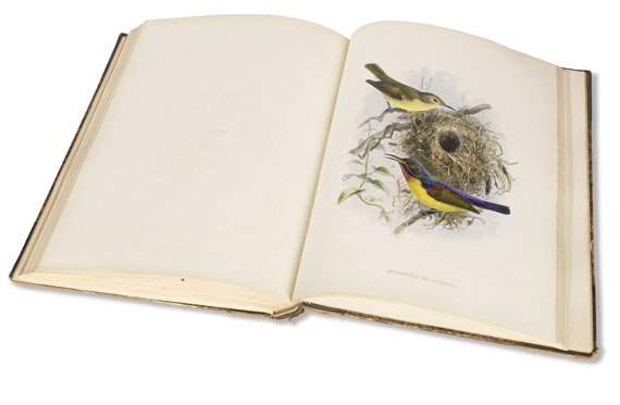 George Ernest Shelley - A monograph of the Nectariniidae, or sun birds. 1876. - 