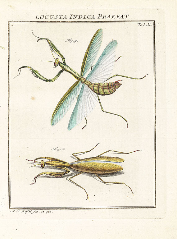 August Johann Rösel von Rosenhof - Insecten-Belustigung, 4 Bde., dazu Kleemann, Beyträge zur Naturgeschichte, 2 Bde. in 1, zusammen 5 Bde. - 