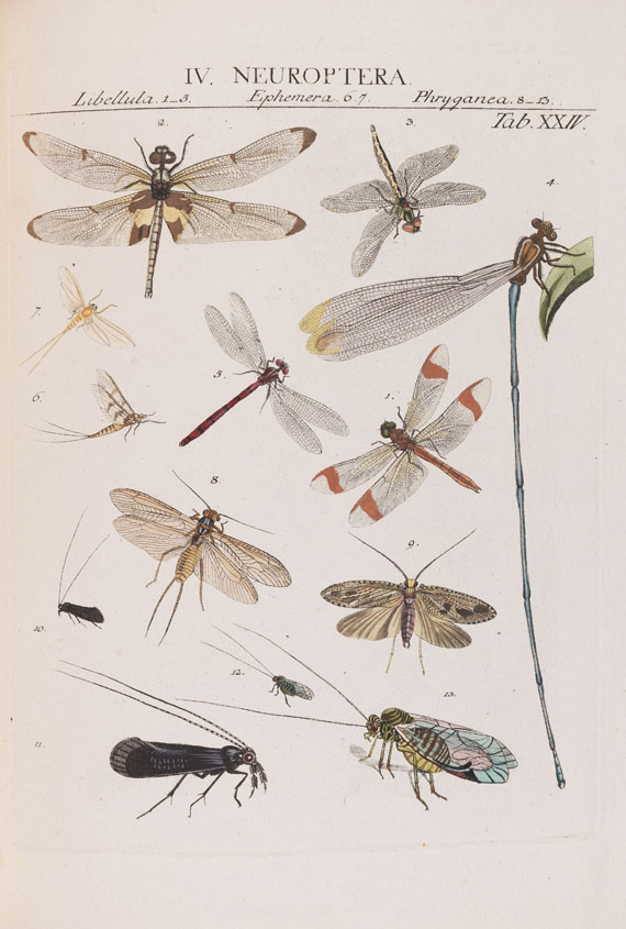 Johann Jacob Roemer - Genera insectorum - 