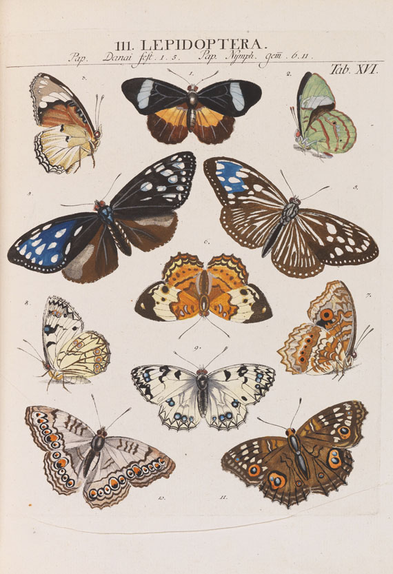 Johann Jacob Roemer - Genera insectorum
