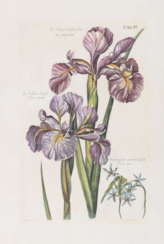  Blumen - Blumen, ca. 160 Blatt