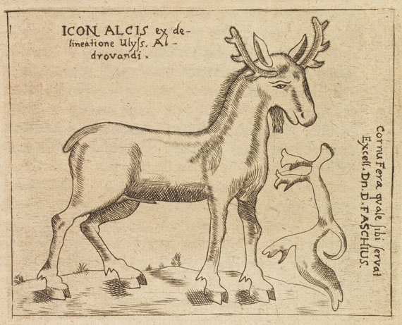 Ulrich Heinsius - Dissertatio Historico-Zoologica de Alce