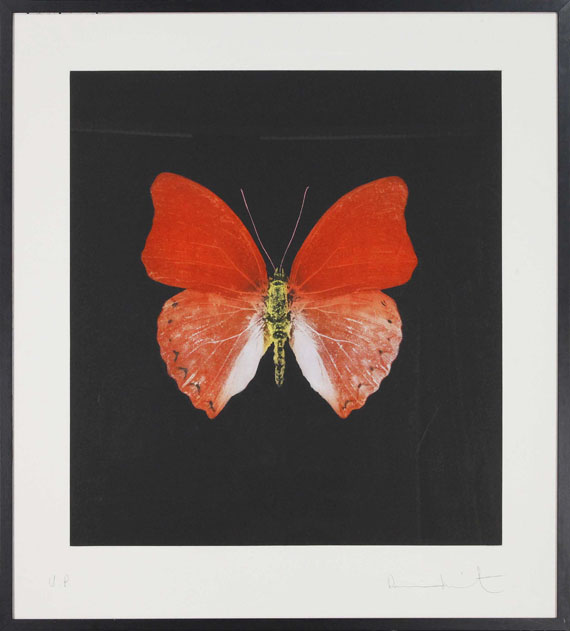 Damien Hirst - Butterfly - Frame image