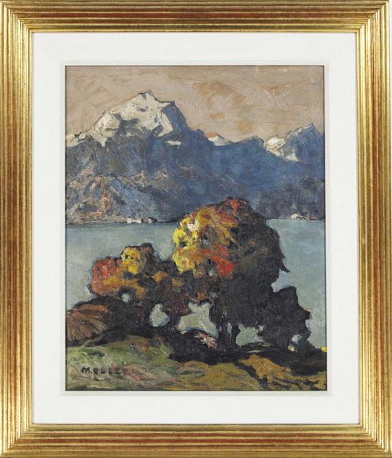 Oskar Mulley - Herbstlicher Blick über den Gardasee - Frame image