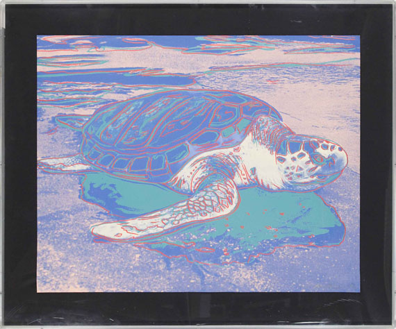 Andy Warhol - Turtle - Frame image