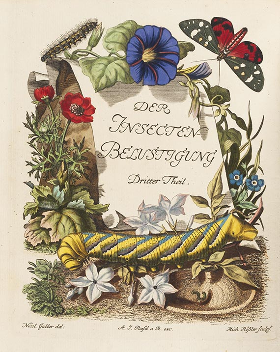 Augustin Johann Rösel von Rosenhof - Insecten-Belustigung. 4 Bände