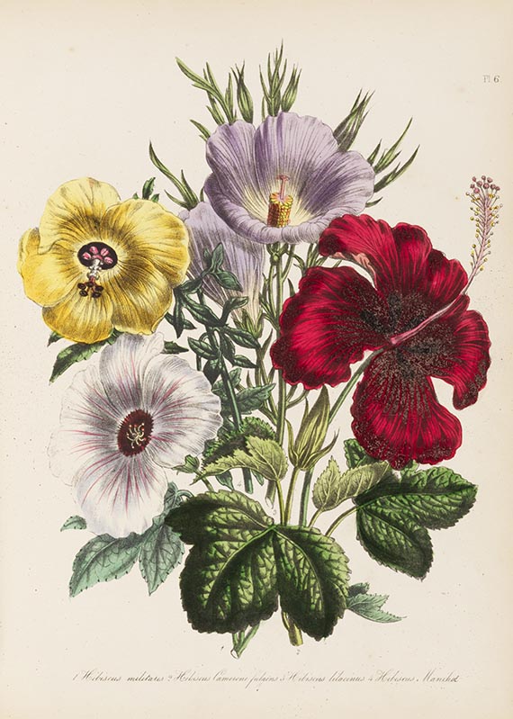 Jane C. Webb Loudon - The ladies' flower-garden. 4 Werke in 5 Bänden.