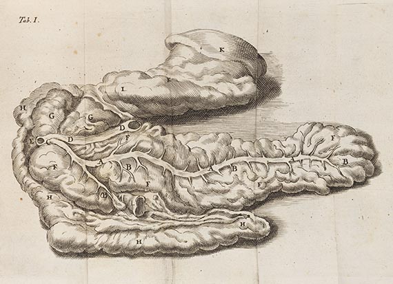 Reinier de Graaf - De succi pancreatici natura et usu exercitatio anatomico-medica.