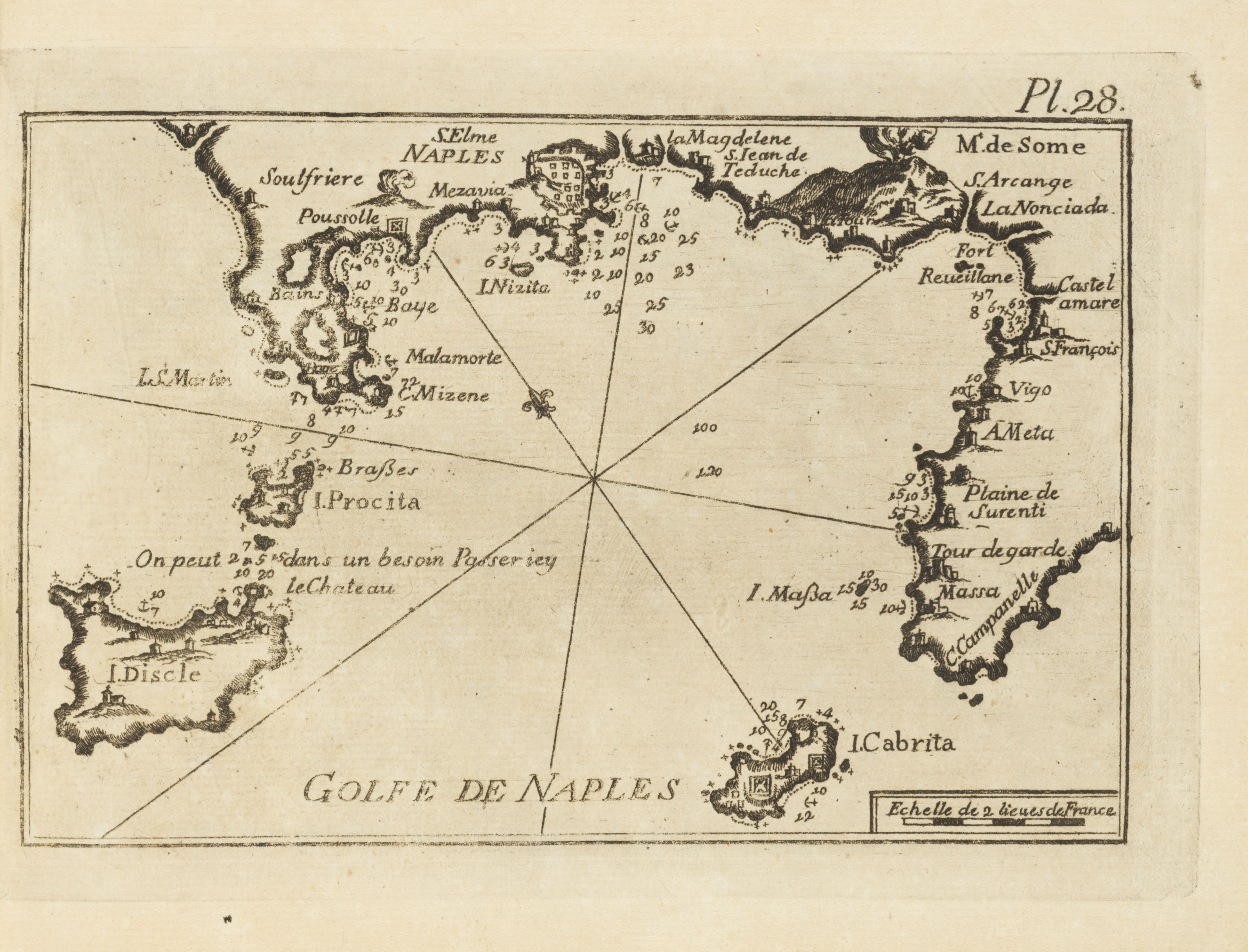556 - 424000205