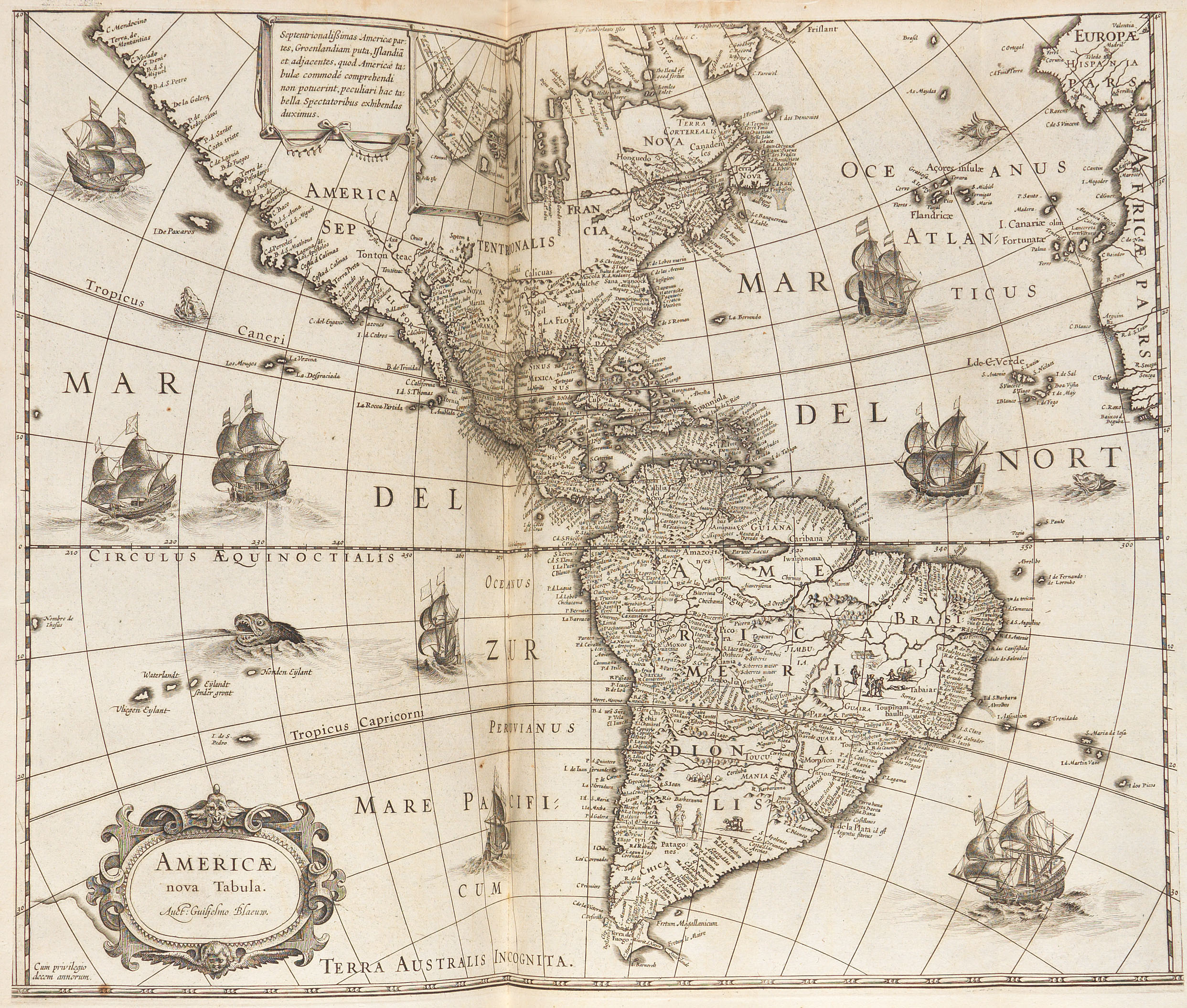 610 - 426000445