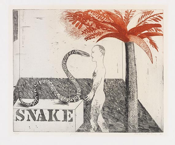 David Hockney - Jungle boy