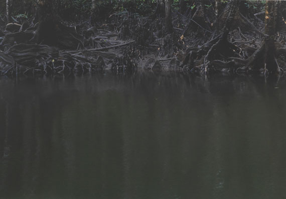 Axel Hütte - Daintree River (Australien)