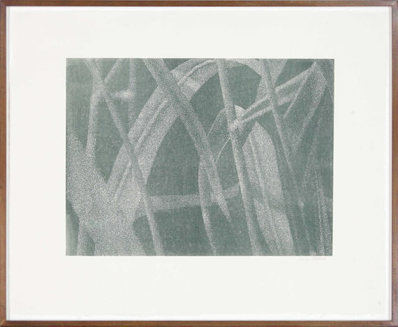 Franz Gertsch - Gräser I (Detail 4) - Frame image