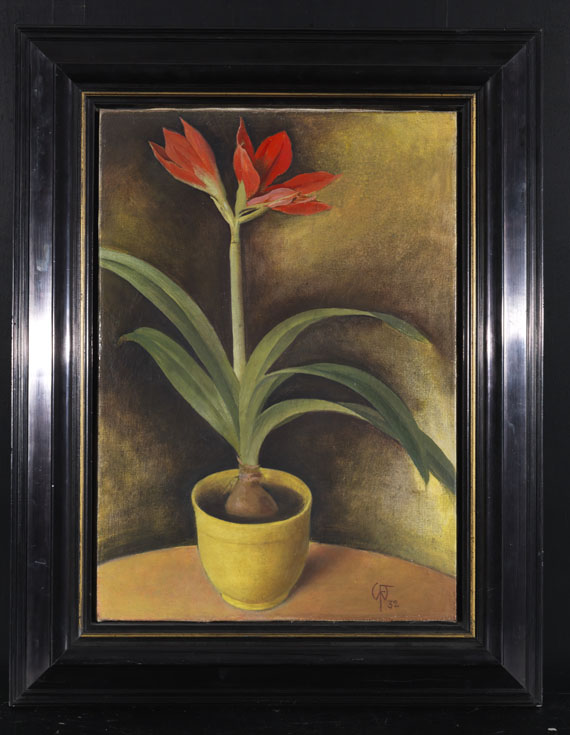 Werner Fechner - Amarillis - Frame image
